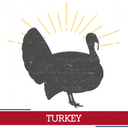 turkey icon, sunshine around a turkey